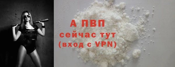 ГАЛЛЮЦИНОГЕННЫЕ ГРИБЫ Богданович