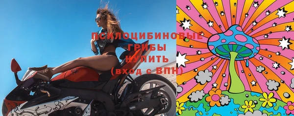 винт Белокуриха